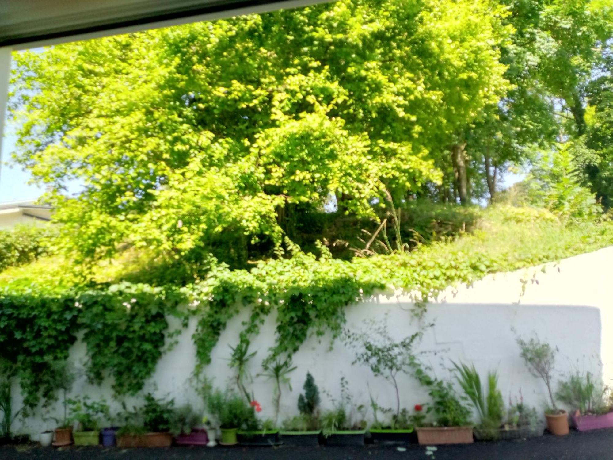 Villa Arc En Ciel Et Cle Des Champs Contrexeville Exterior photo